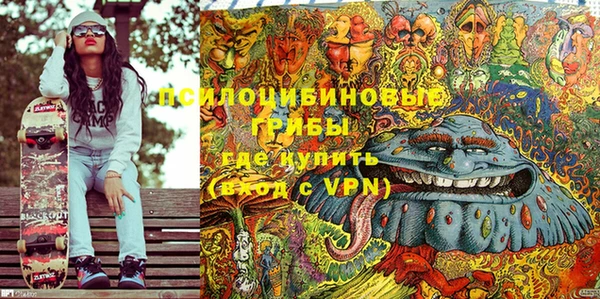 крисы Арсеньев