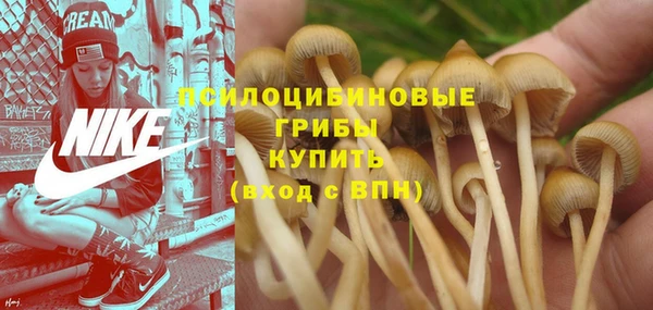 экстази Балахна