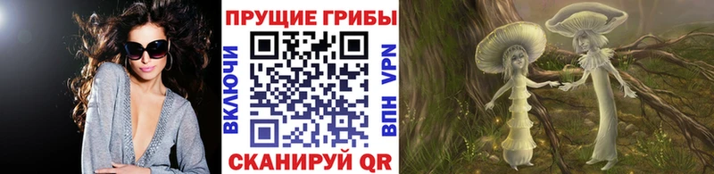где можно купить наркотик  Михайлов  площадка как зайти  Псилоцибиновые грибы мухоморы 